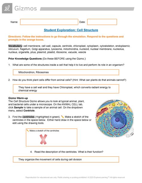 On the ANIMAL CELL tab, click Sample to take a sample of an animal cell. . Student exploration gizmo answer key